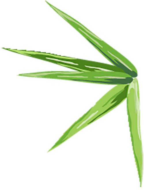 3.png 3.png