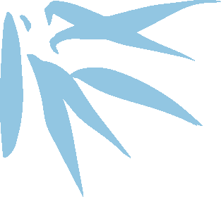 18.png
