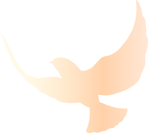 19.png