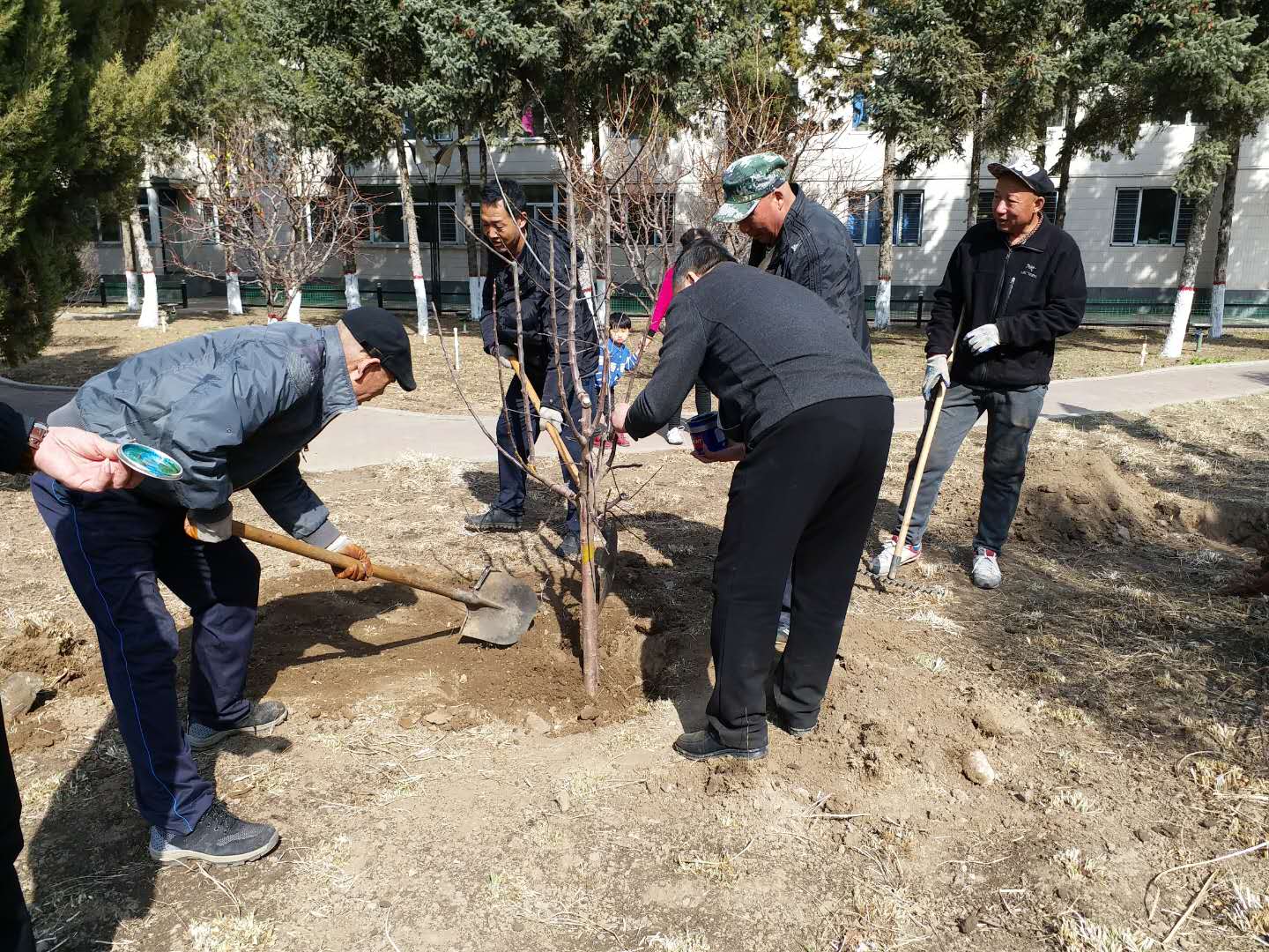 微信图片_20190328180445.jpg