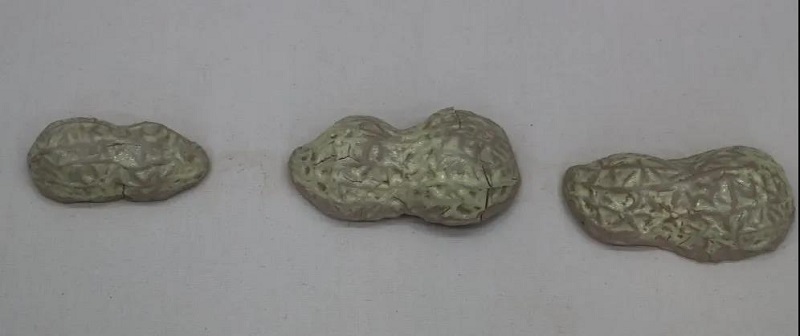 微信图片_20210323195418.jpg