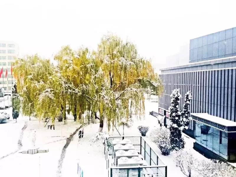 微信图片_20190311233913.jpg