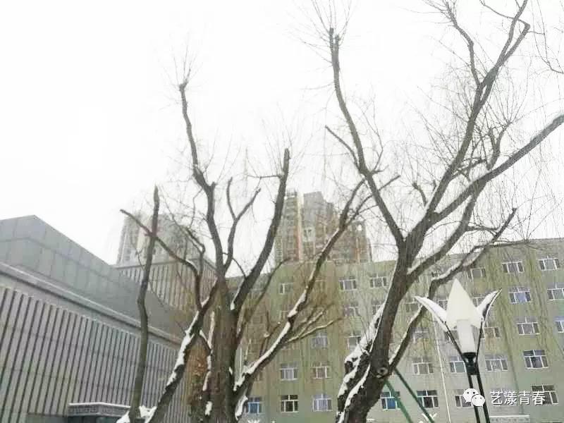 微信图片_20190311233916.jpg