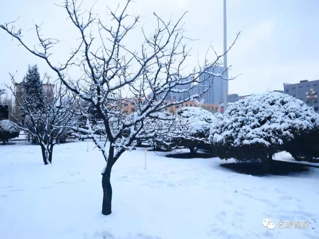 微信图片_20190311233933.jpg