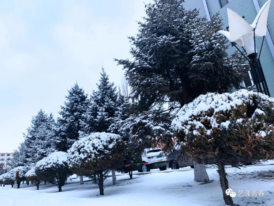 微信图片_20190311233938.jpg