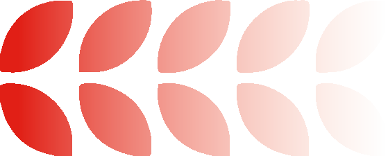 1.png 1.png