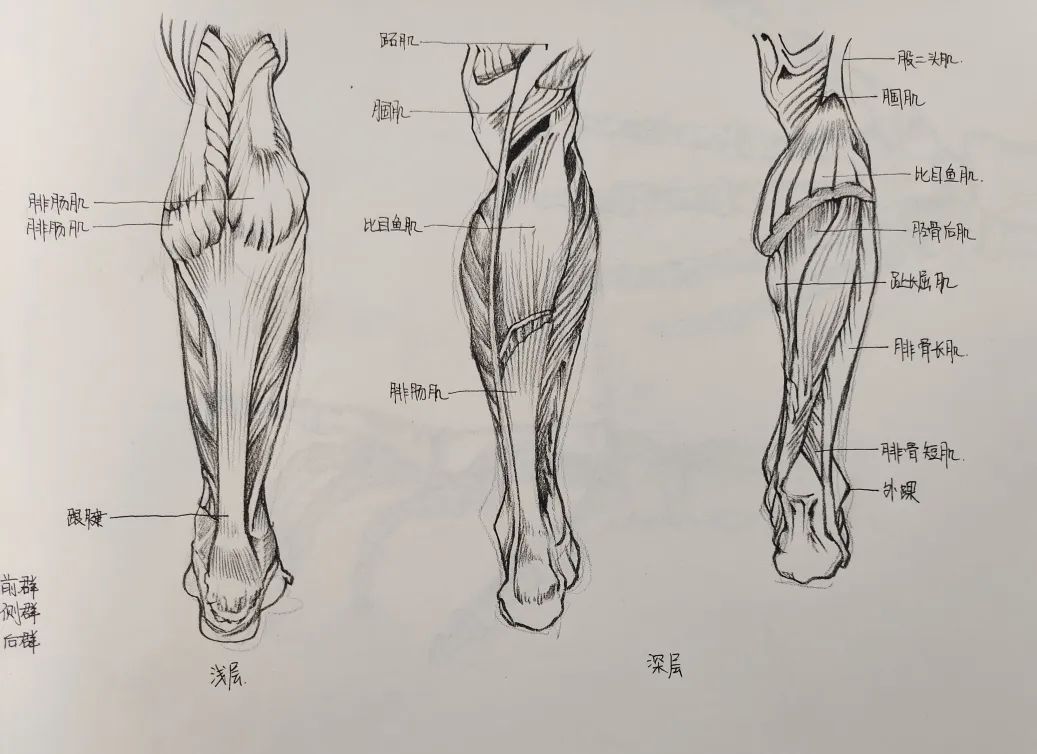 微信图片_20220408124149.jpg