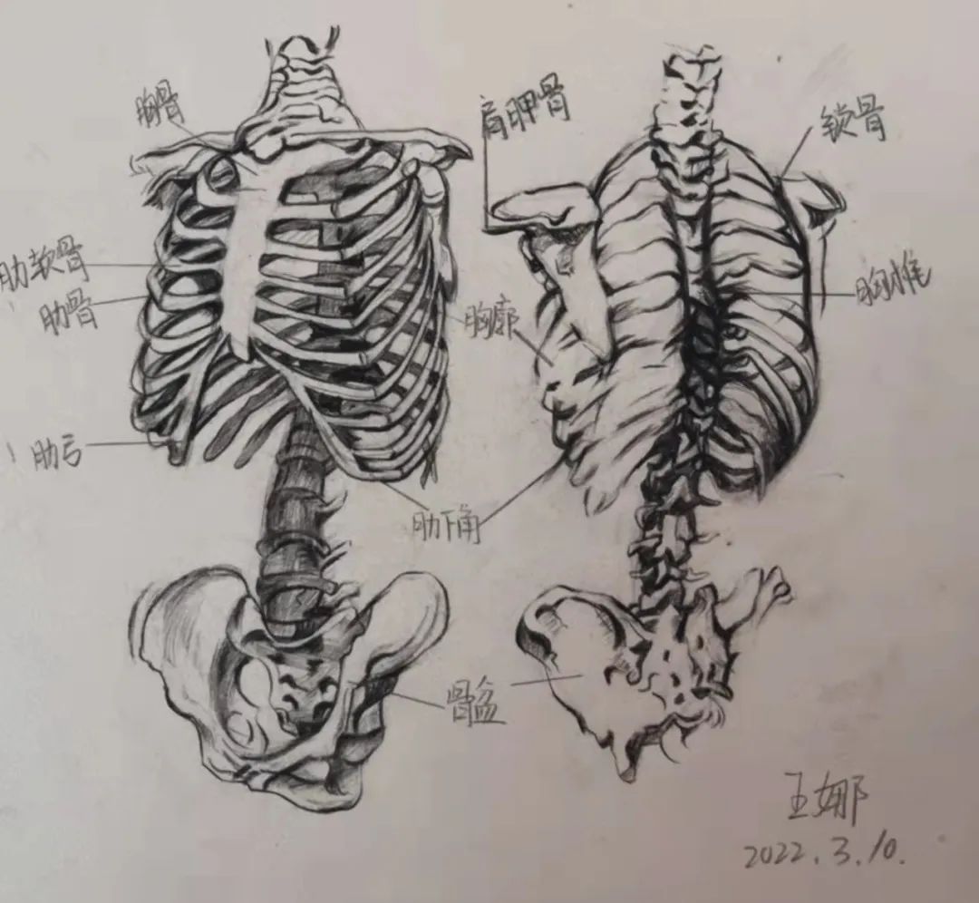微信图片_20220408124431.jpg