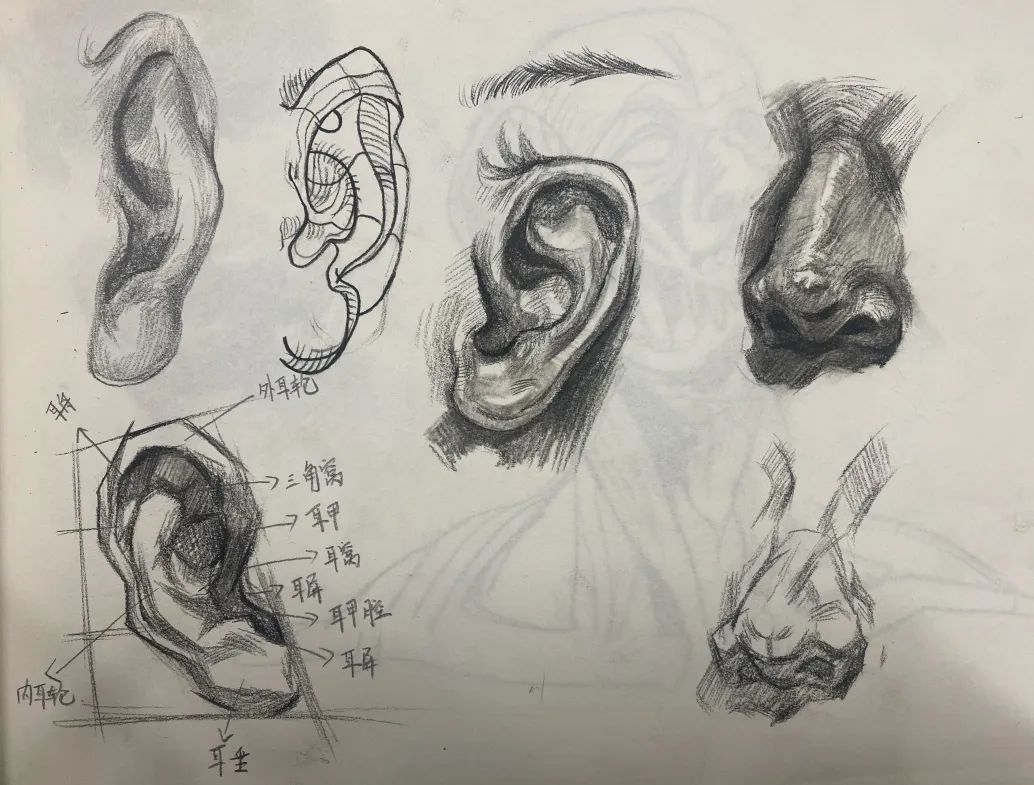 微信图片_20220408124828.jpg