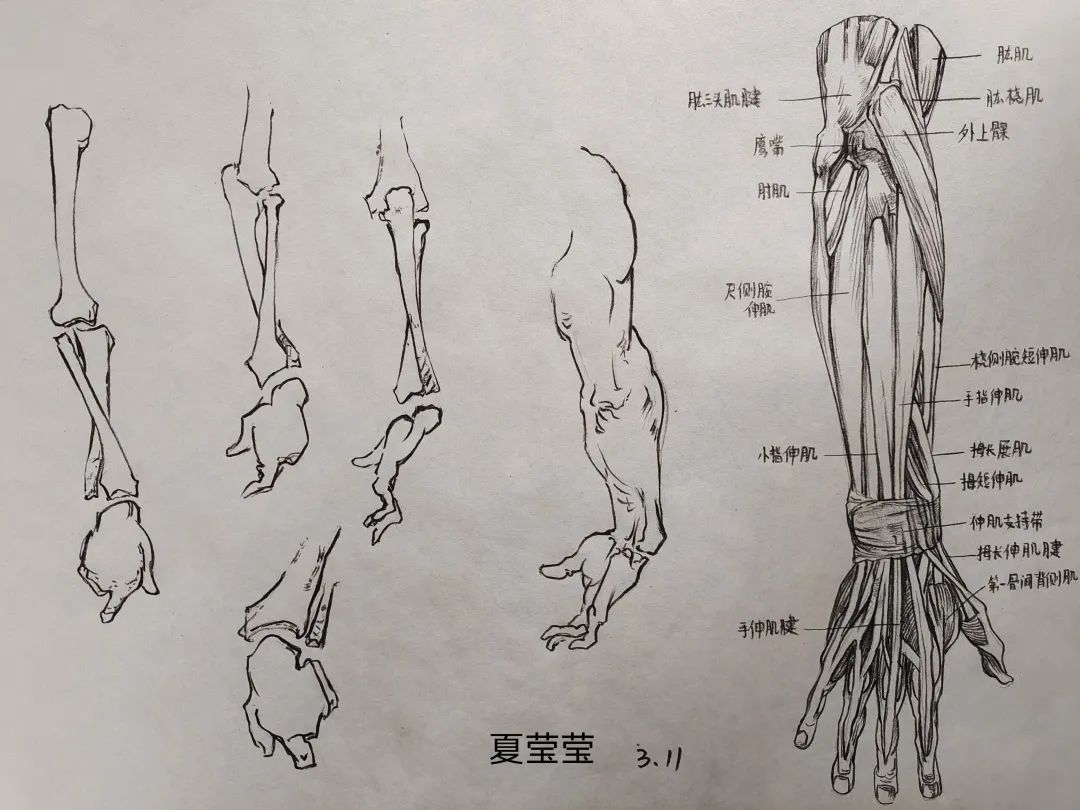 微信图片_20220408124912.jpg